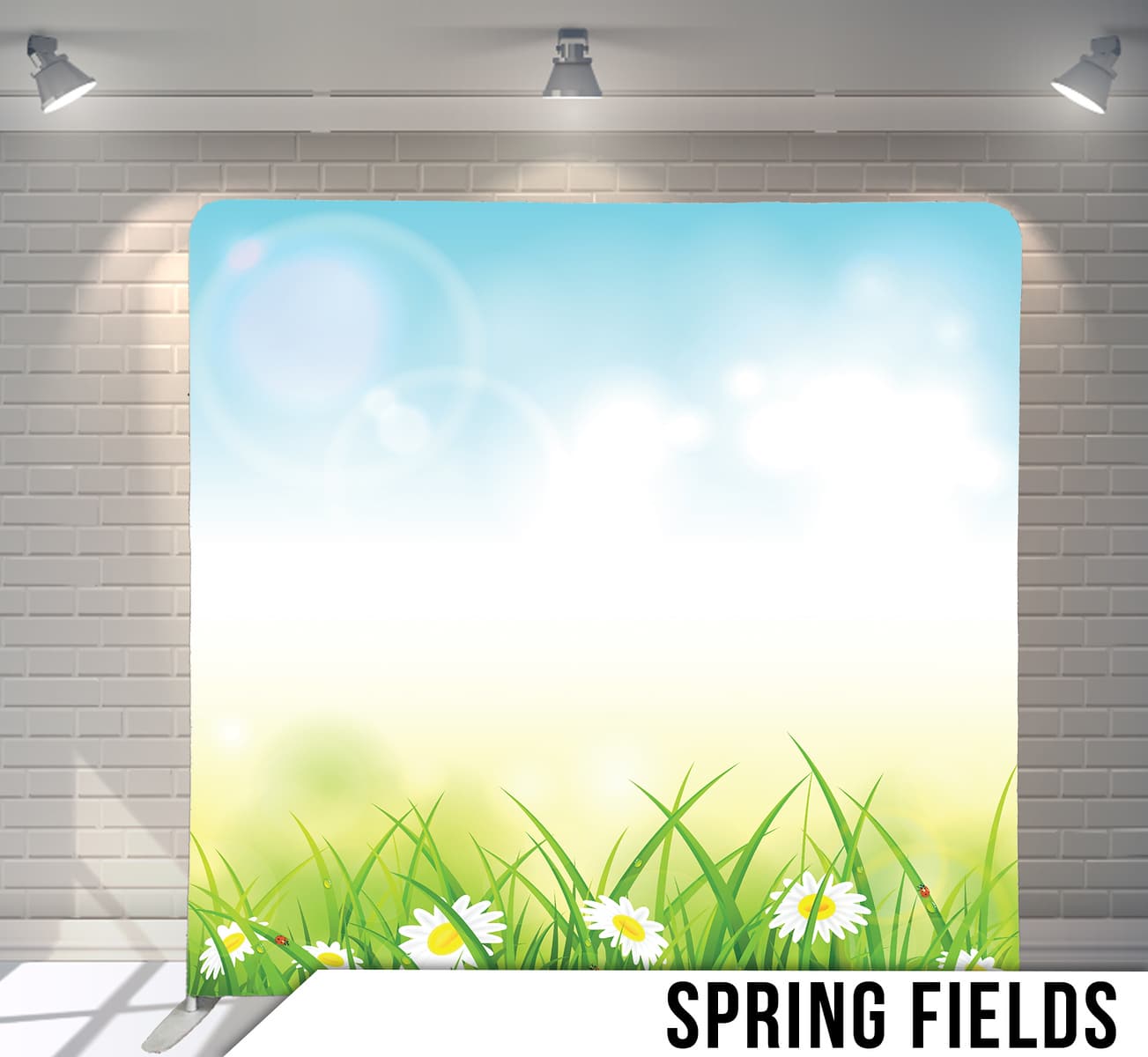 SPRINGFIELDS (1) X3