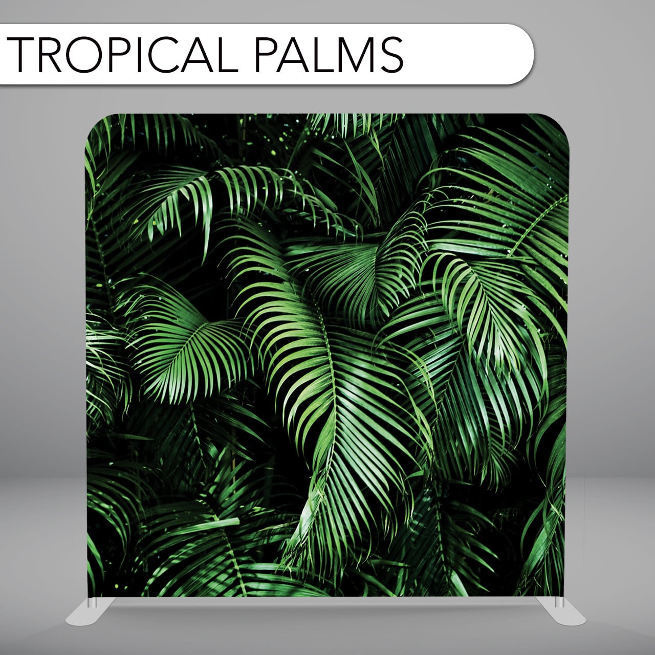 Tropical Palms